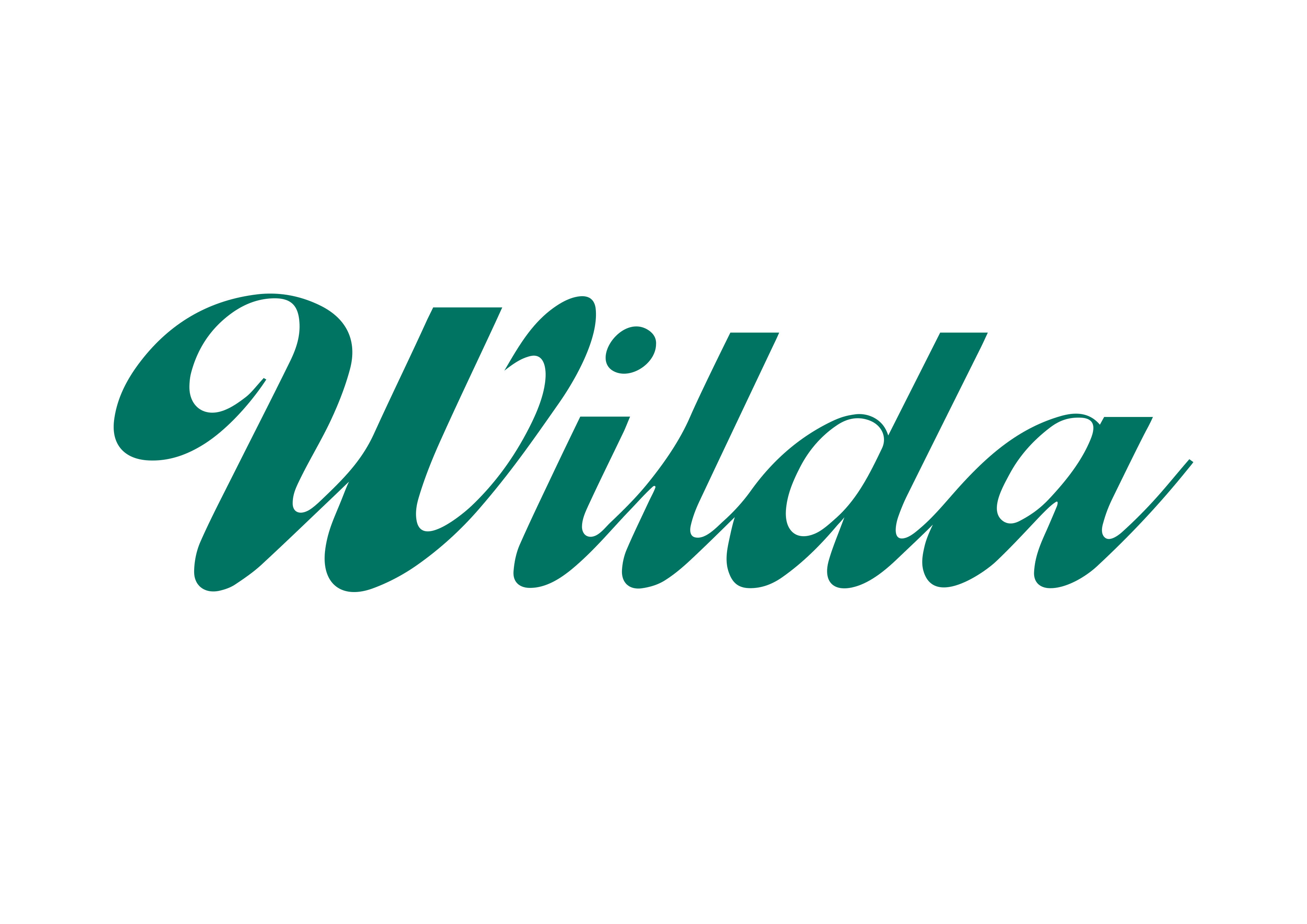 Wilda logo