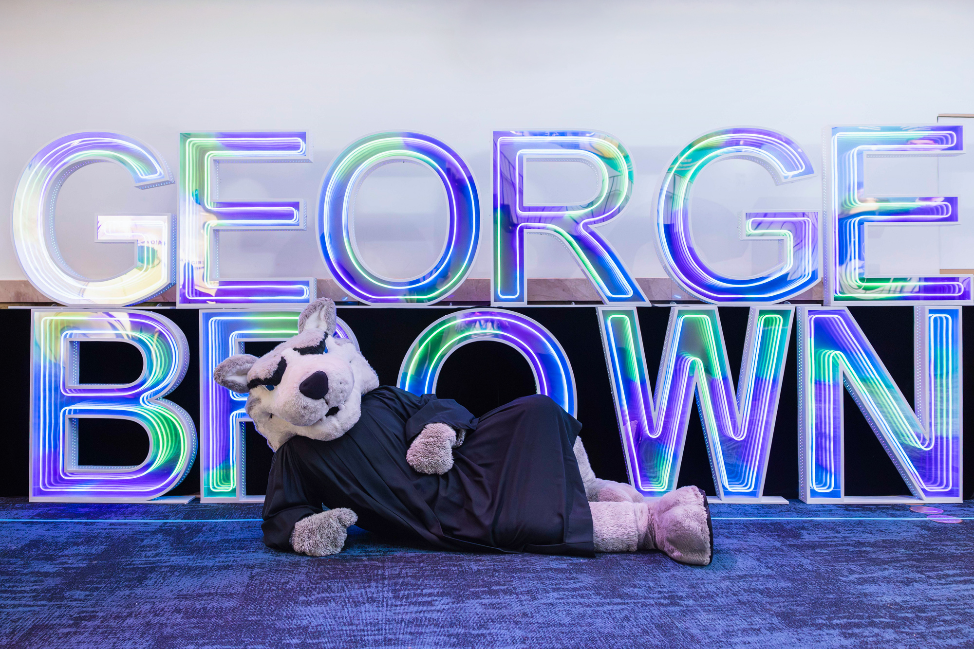 Helder the Husky lies on the ground in front of a neon lit George Brown sign at Convocation.