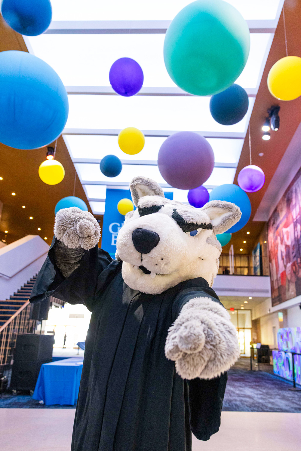 Helder the Husky wears a convocation gown at Meridian Hall with festive balloons and colours in the background.