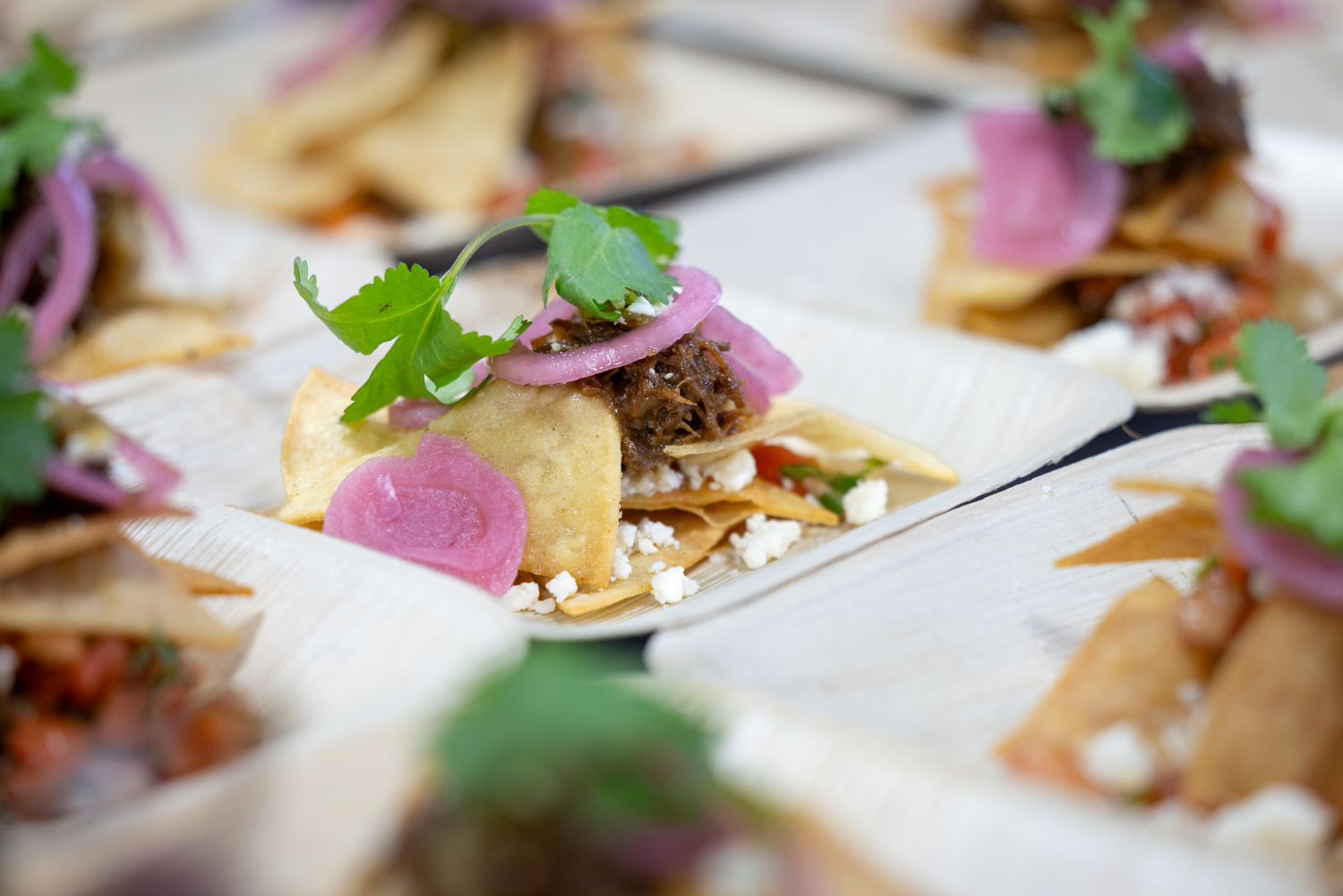 Small plates of food with tortillas, pickled onions, beef and coriander are lined up on a table.