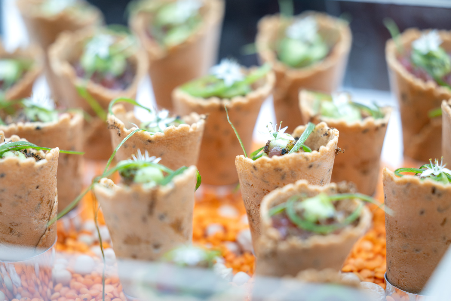 A tray full of little rolled cones of appetizers with chives and flowers.