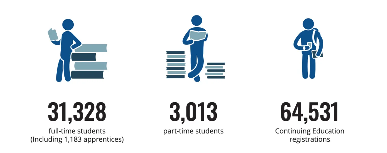 Student enrolment graphic
