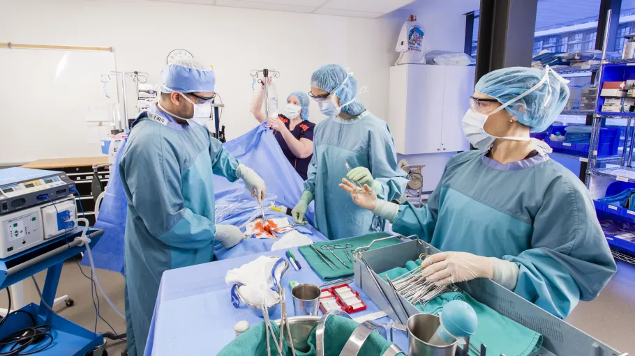 A group of post-RN students working together in a surgical scenario on a high-fidelity mannequin doll, Operating Room, Stimulation Centre, Daphne Cockwell Centre for Health Sciences. 
