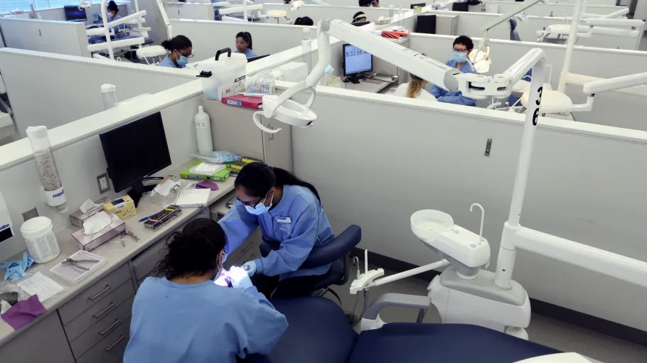 Dental students in their work area operating on dummy patients in groups of two.