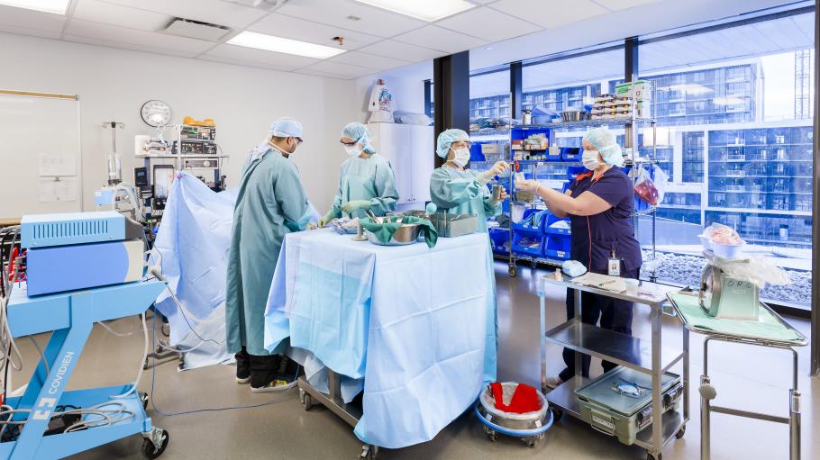 A group of post-RN students engaged in a surgical scenario in the operating room, OR, Stimulation Centre, Daphne Cockwell Centre for Health Sciences. 