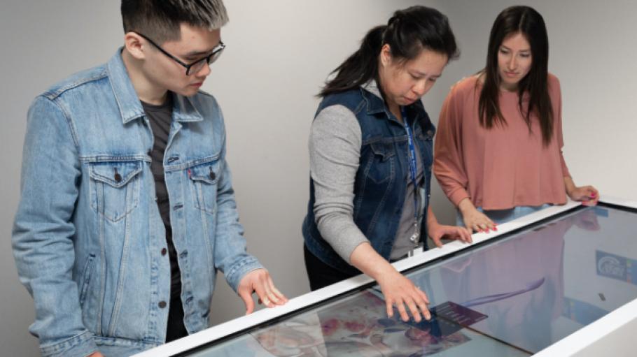 An instructor uses a touchscreen anatomy table with two students.