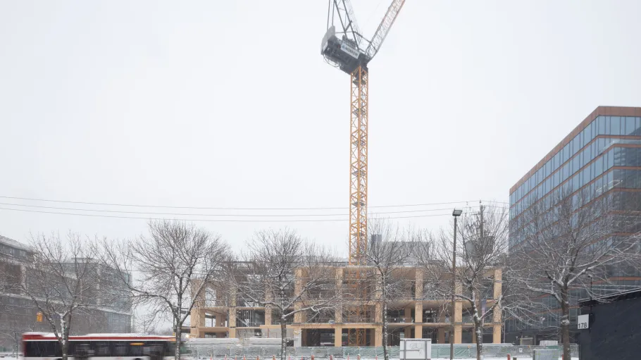 Limberlost Place at three storeys