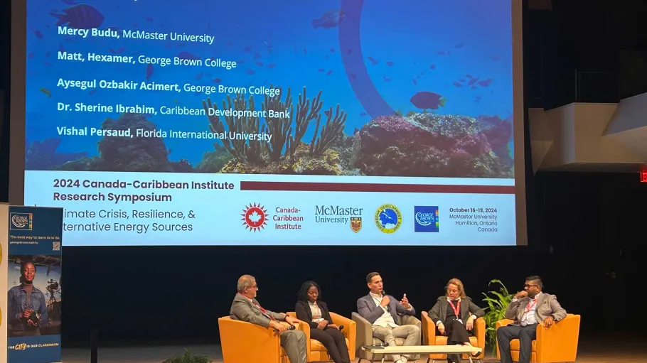 Panellists at the Canada Caribbean Institute Symposium, 2024