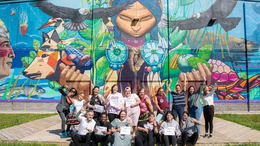 WISDOM Program banner 