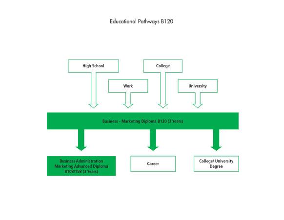 There are many pathways into the Business - Marketing Diploma B120 program including high school, work, and other college or university programs. After graduating from the program, students can go to work, or they can further their education through the Business Administration - Marketing Advanced Diploma, or a college or university degree.