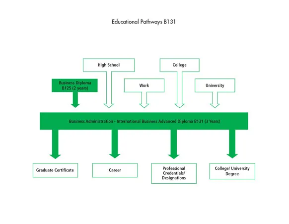 There are many pathways into the Business Administration - International Business Advanced Diploma B131 including high school, work, the Business Diploma program, and other college or university programs. After graduating from the program, students can go to work, or they can further their education through a graduate certificate, a professional credential or designation, or a college or university degree