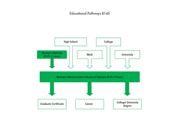 There are many pathways into the Business Administration Advanced Diploma B145 program including high school, work, the Business Diploma program and other college or university programs. After graduating from the program, students can go to work, or they can further their education through a graduate certificate, or a college or university degree