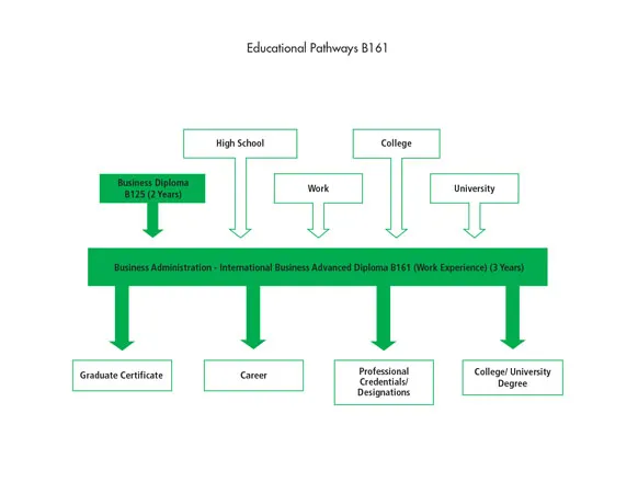 There are many pathways into the Business Administration - International Business Advanced Diploma B161 (Work Experience) program including high school, work, the Business Diploma program and other college or university programs. After graduating from the program, students can go to work, or they can further their education through a graduate certificate, a professional credential or designation, or a college or university degree.