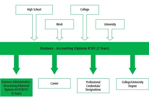 There are many pathways into the Business - Accounting Diploma B103 program, including high school, work and other college or university programs. After graduating from the program, students can go on to work, or they can further their education through another university or college program, or entering the Business Administration Accounting Advanced Diploma Program