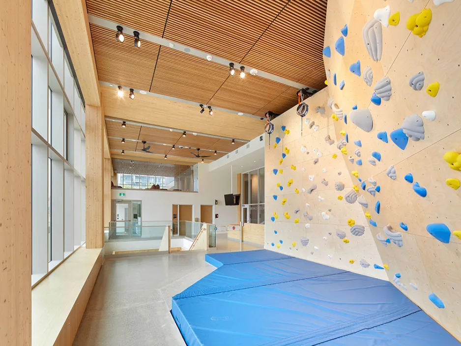 Limberlost Place climbing wall