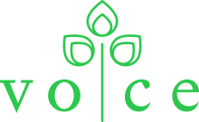 Logo, VOCE