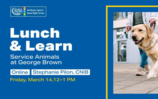 Lunch & Learn: Service Animals at George Brown. Online, Stephanie Pilon, CNIB. Friday March 14, 12-1 PM. Image of a guide dog.