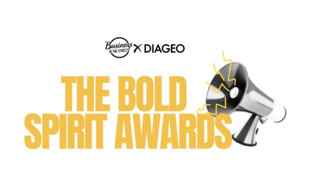 The Bold Spirit Awards