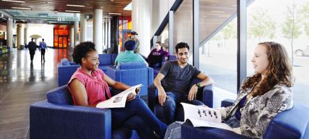 Students study together in a common area of the Waterfront campus