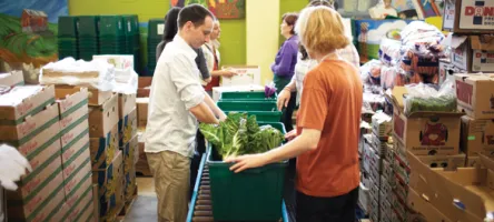 People filling boxes with fruit and vegetables