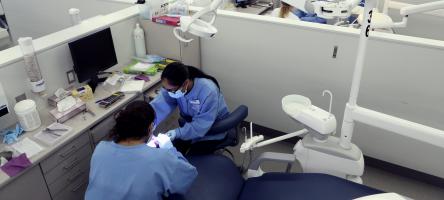 Dental students in their work area operating on dummy patients in groups of two.