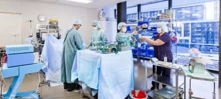 A group of post-RN students engaged in a surgical scenario in the operating room, OR, Stimulation Centre, Daphne Cockwell Centre for Health Sciences. 