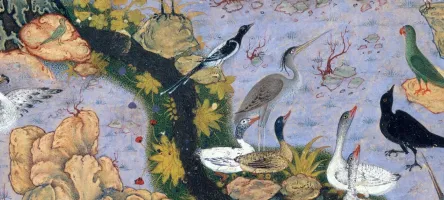 Part of the tapestry depicting many species of different birds all gathered together in one garden.