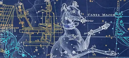 An illustration of the night sky with the Canis Major constellation in the shape of a dog.