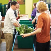 People filling boxes with fruit and vegetables